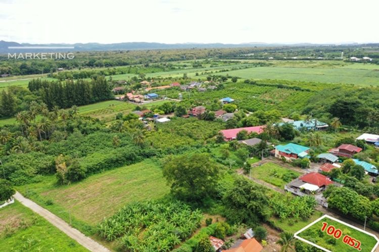 ขายที่ดินปากช่องกลางดง ทำเลดีมาก ใกล้ถนนมิตรภาพเพียง 500 เมตร , ภาพที่ 4