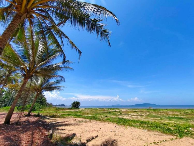 ขายที่ดินติดทะเลหาดคอสนชุมพรสะดวกติดถนนติดตัวเมือง ไร่ละ 3.5 ล้าน, ภาพที่ 4