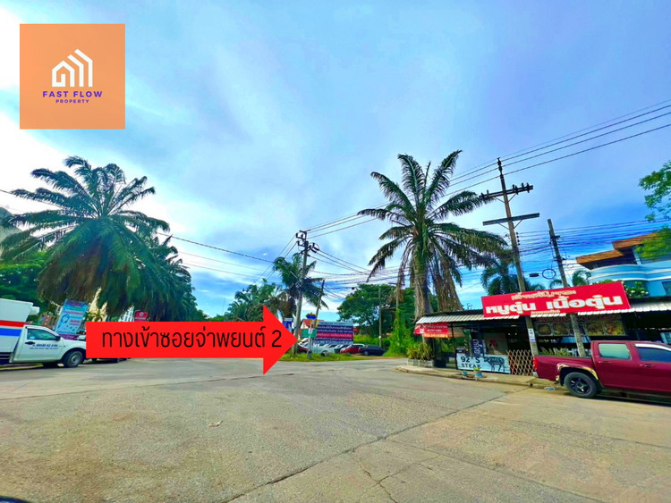ขาย ที่ดิน ซอยจ่าพยนต์ บางบัวทอง 91 ตรว. ซอยสามวัง ใกล้ตลาดต้นไม้, ภาพที่ 4