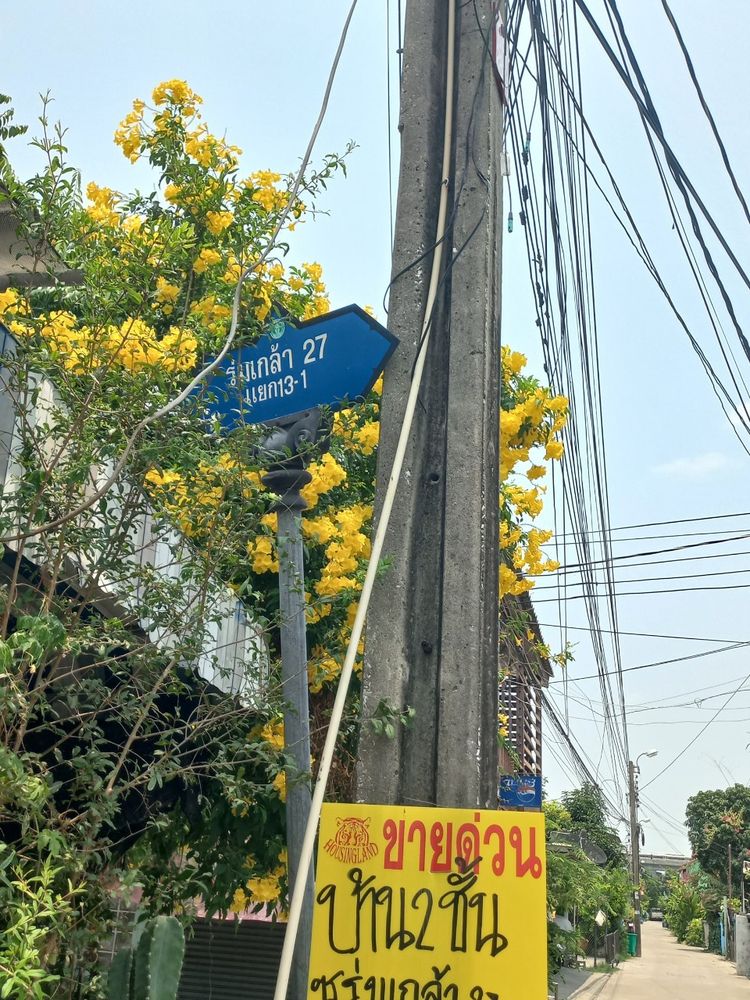 ขายบ้าน 2 ชั้น ซอยร่มเกล้า27 แยก13/1 ใกล้วัดลาดกระบัง, ภาพที่ 4