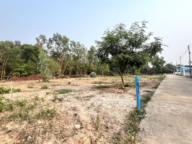 ขายที่ดินสำหรับสร้างบ้าน พื้นที่ 104 - 158 ตร.ว. จ.บึงกาฬ, ภาพที่ 4