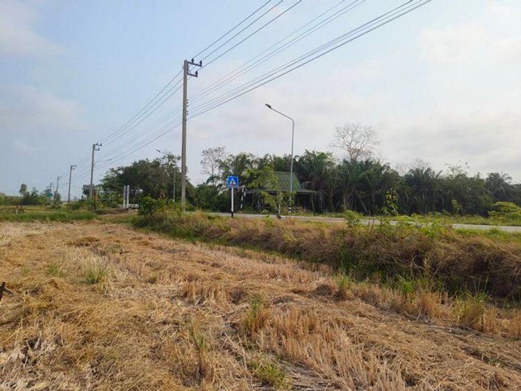 ขายที่ดิน เจ้าของขายเอง แบ่งแปลงเริ่มต้น  2 ไร่ ตำบลพืชอุดม, ภาพที่ 4