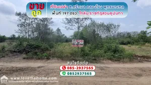 ขายถูก ที่ดินเปล่า ซอยศรีกมล คลองโยง พุทธมณฑล พื้นที่ 197 ตรว. ใกล้มหาวิทยาลัยราชภัฎสวนสุนันทา