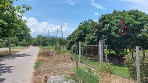 ขายที่ดิน 2 ล.เท่านั้น เนื้อที่ 200 ตรว. บ้านแหวน หางดง ใกล้ม.นอร์ท ติดถนน น้ำ ไฟฟ้าครบ มองเห็น #วิวภูเขาสวย บรรยากาศดี เหมาะสำหรับทำบ้านสวน