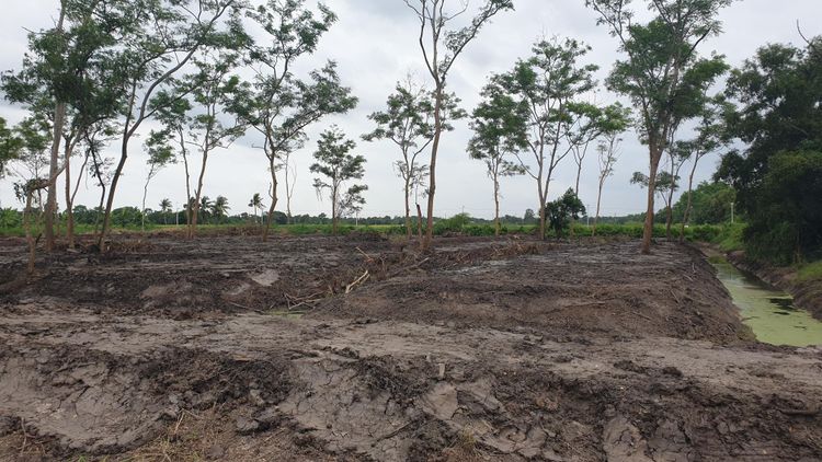 ขาย ที่ดิน แขวงหนองจอก เขตหนองจอก กรุงเทพมหานคร, ภาพที่ 4