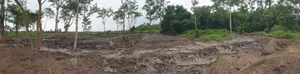 ขาย ที่ดิน แขวงหนองจอก เขตหนองจอก กรุงเทพมหานคร
