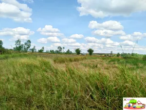 ที่ทำเกษตรผืนใหญ่ 70-2-35.5 ไร่ ดินดี การเดินทางสะดวก ต.หนองหลวง อ.เฝ้าไร่ หนองคาย