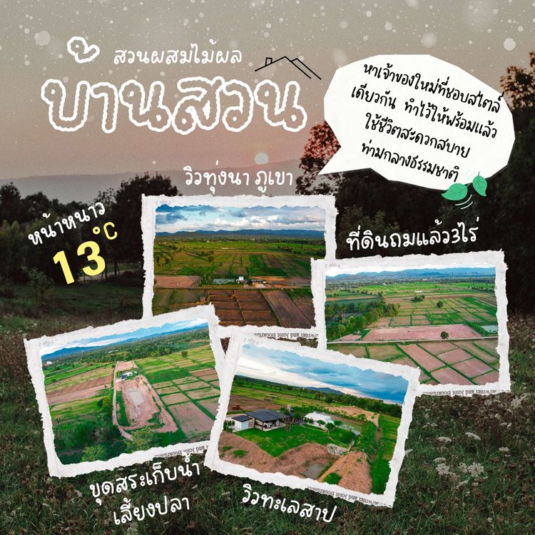 บ้านสวน พร้อมที่ดินทำเลดี วิวสวย สิ่งอำนวยความสะดวกครบ , ภาพที่ 4