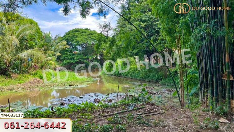 ที่ดิน สันทราย 1 ไร่ 75 ตร.ว. เชียงใหม่, ภาพที่ 4