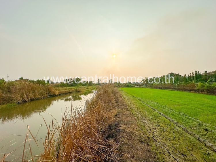 ที่ดินเปล่า 3 งาน ใกล้พื้นที่สีม่วงถนน 340 ไทรน้อย - นนทบุรี, ภาพที่ 4