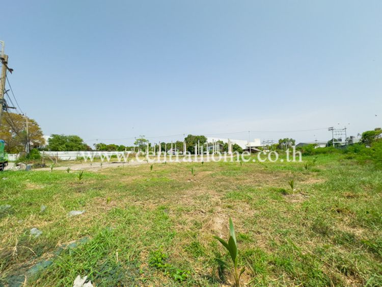 ขายที่ดินเปล่า 2.5 ไร่ พื้นที่สีม่วง  แพรกษา - สมุทรปราการ, ภาพที่ 4