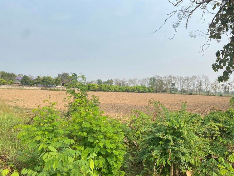 ขาย ที่ดิน ตำบลในเมือง อำเภอสวรรคโลก จังหวัดสุโขทัย, ภาพที่ 4