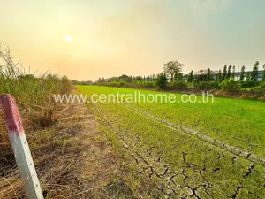 ที่ดินเปล่า 3 งาน ใกล้พื้นที่สีม่วงถนน 340 ไทรน้อย - นนทบุรี