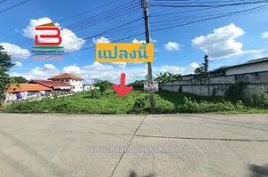  ที่ดินเปล่า บางคูรัด (ใกล้วัดลาดปลาดุก) ถนนสายเลียบคลองนายเฉลิม เนื้อที่ 5 ไร่ ถนนการประปานครหลวง ตำบลบางคูรัด อำเภอบางบัวทอง จังหวัดนนทบุรี