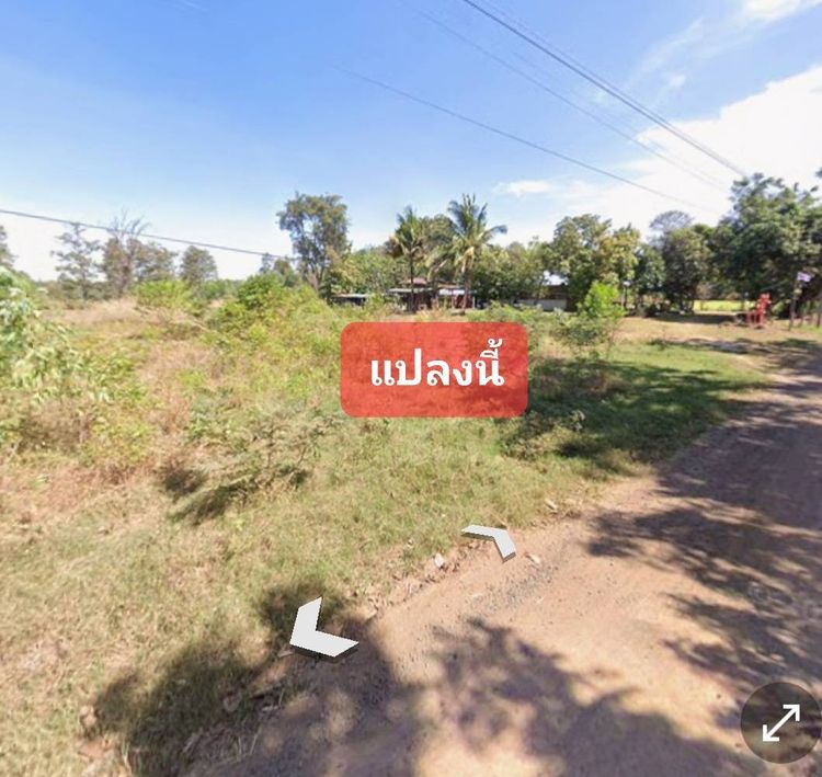 ขาย ที่ดิน 5 ไร่ ตำบลกังแอน อำเภอปราสาท จังหวัดสุรินทร์, ภาพที่ 4