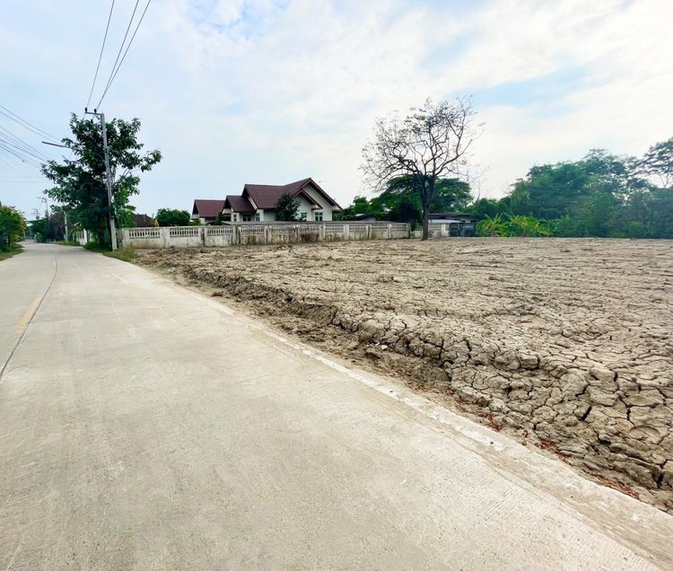 ขาย ที่ดิน ถมแล้ว ใกล้ม.ธรรมศาสตร์รังสิต 1 ไร่ 33.6 ตรว ใกล้ทางด่วน, ภาพที่ 4