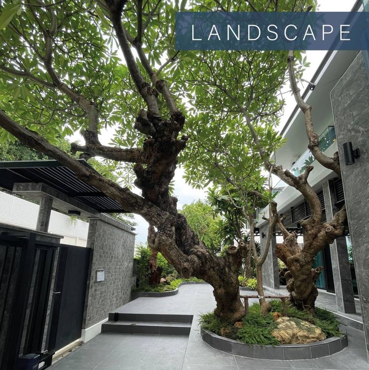 บ้านหรูในโครงการพรีเมี่ยม บนถนนลาดปลาเค้า ร่มรื่นด้วยไม้ใหญ่   , ภาพที่ 4