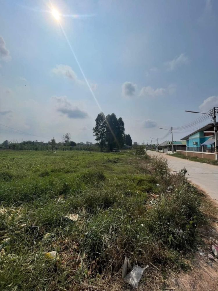 ขายที่ดิน บึง ศรีราชา ชลบุรี ห่างถนนมอเตอร์เวย์ไม่ถึง2km , ภาพที่ 4