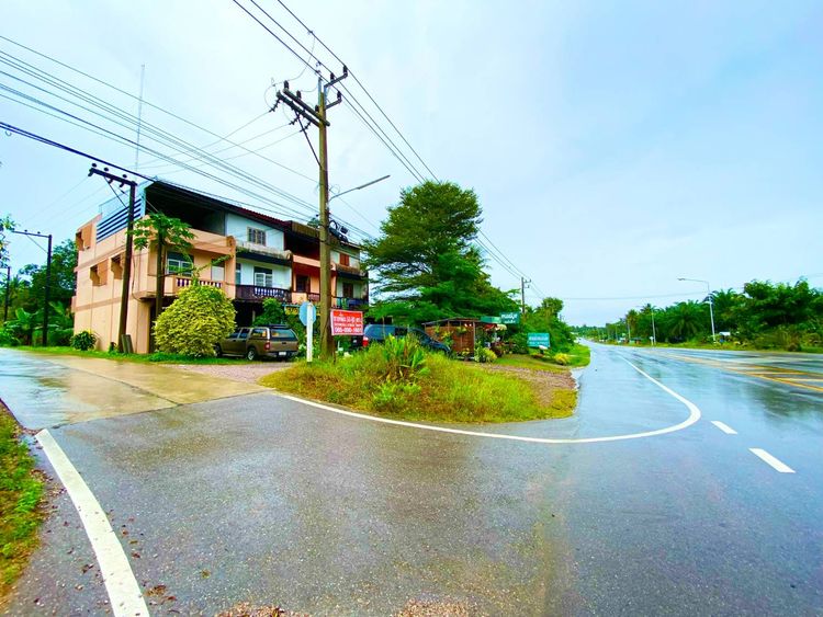 ขายที่ดิน ทำเลดี ติดถนน นาชะอัง วิลเลจ  จ.ชุมพร, ภาพที่ 4