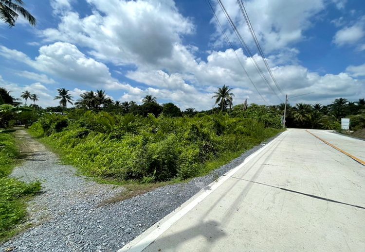 ขายที่ดิน ใกล้วัดดงเกตุ ซอยบ้านหงษ์ ถนนเพชรเกษม อำเภอสามพราน นครปฐม, ภาพที่ 4