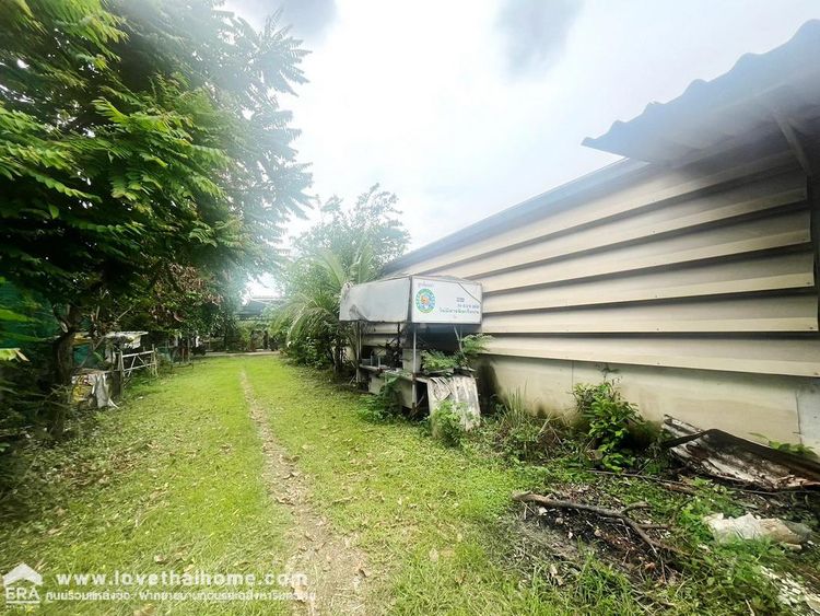 ขายที่ดินพร้อมโกดัง บางหลวง ปทุมธานี พื้นที่ 200 ตรว. ขายเพียง 2.99 10, ภาพที่ 4
