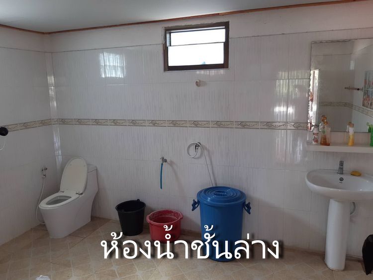 ขายที่ดินพร้อมบ้าน เนื้อที่ 3 ไร่ อ.กกโก, ภาพที่ 4