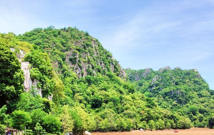 ขายที่ดินวิวเขาสวยระดับร้อยล้าน, ภาพที่ 4