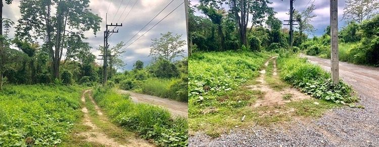 ที่ดินให้เช่าใกล้ถนนใหญ่ 320 ตรว. ทางไปน้ำตกสาริกา อำเภอเมือง นครนายก , ภาพที่ 4
