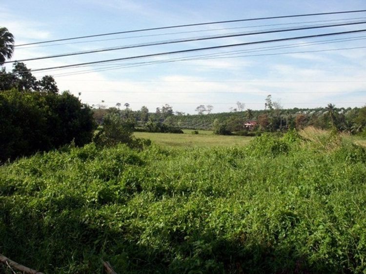 ขาย ที่ดิน ติดถนนสุขุมวิท 11 ไร่ ตำบล วังกระแจะ อำเภอเมืองตราด , ภาพที่ 4