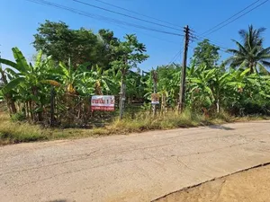 ขาย ที่ดิน ตำบลวังใหม่ อำเภอวังสมบูรณ์ จังหวัดสระแก้ว