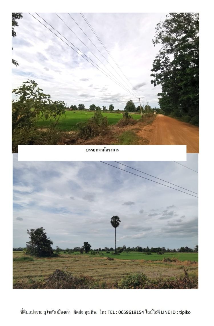 ขาย ที่ดิน ตำบลบ้านกล้วย อำเภอเมืองสุโขทัย จังหวัดสุโขทัย, ภาพที่ 4