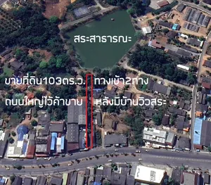 ขายที่ดินตรัง ขายที่ดินจังหวัดตรัง ขายที่ดินทับเที่ยง ซื้อขายที่ดินตรัง ซื้อที่ดินตรัง