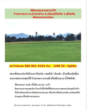 ขาย ที่ดิน ตำบลบ้านกล้วย อำเภอเมืองสุโขทัย จังหวัดสุโขทัย