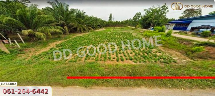 ที่ดิน บ้านโค้งประดู่เทศบาล 5 อ.เกาะจันทร์ 80 ตร.ว. ชลบุรี , ภาพที่ 4