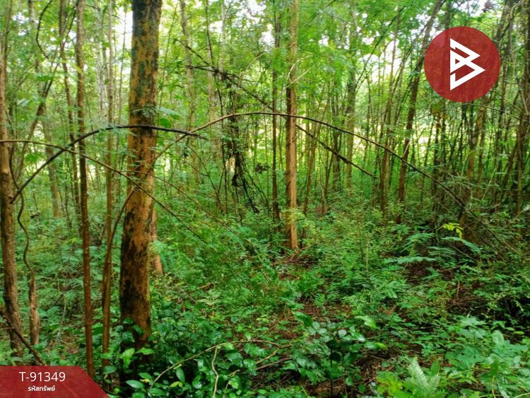 ขายที่ดินเปล่าด่วน เนื้อที่ 5 ไร่ 1 งาน 33 ตร.วา ท่าปลา อุตรดิตถ์, ภาพที่ 4