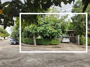 ขายที่ดินเปล่า 83 ตรว. ถมแล้ว แขวงนวลจันทร์ เขตบึงกุ่ม กรุงเทพมหานคร อยู่ในหมู่บ้านซันไรซ์ กรีน ซอยตรงข้ามโลตัส นวมินทร์ กับโรงพยาบาลพญาไท (นวมินทร์)