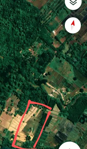 ขาย ที่ดิน ตำบลโพนจาน อำเภอโพนสวรรค์ จังหวัดนครพนม