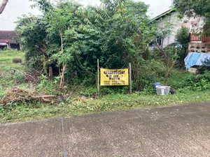 ขาย ที่ดิน ตำบลป่าบอน อำเภอป่าบอน จังหวัดพัทลุง