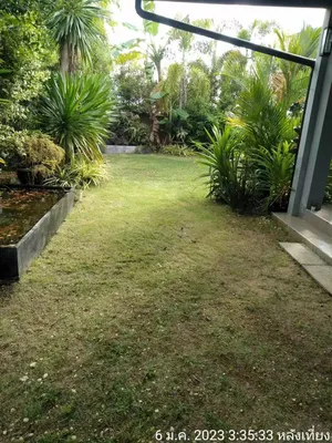 บ้านสวนให้เช่าใจกลางภูเก็ต