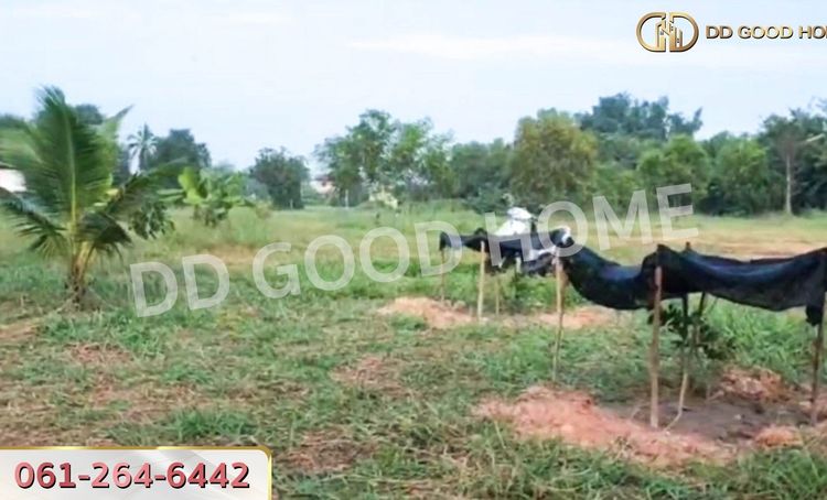 ที่ดินพนมสารคาม 2 ไร่ 220 ตร.ว. ฉะเชิงเทรา ใกล้วัดเกาะแก้วสุวรรณาราม, ภาพที่ 4