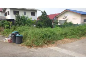 ขายที่ดิน47ตรว ซอยวัดลาดปลาดุก 8.5แสน