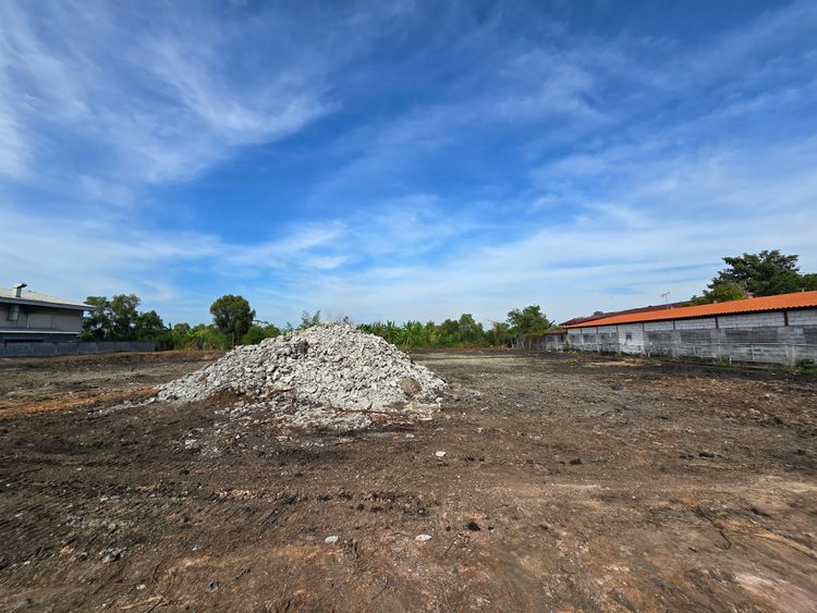 ขาย/เช่าระยะยาว ที่ดิน ตำบลคลองอุดมชลจร อำเภอเมืองฉะเชิงเทรา, ภาพที่ 4