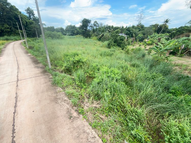 ขายที่ดิน 5ไร่ จังหวัดปราจีนบุรี บ้านนา / กบินทร์ , ภาพที่ 4