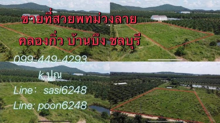 #ขายที่สวย พื้นที่ สีม่วงลาย คลองกิ่ว บ้านบึง ชลบุรี (lax Rich001） 66, ภาพที่ 4