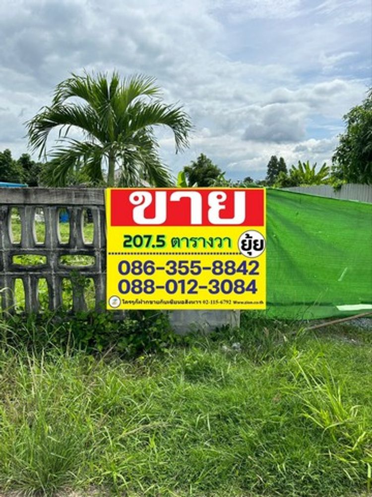 ขายที่ดินเปล่า ซอยวัดทุ่งเหียง เนื้อที่ 207.5 ตารางวา  พนัสนิคม      , ภาพที่ 4