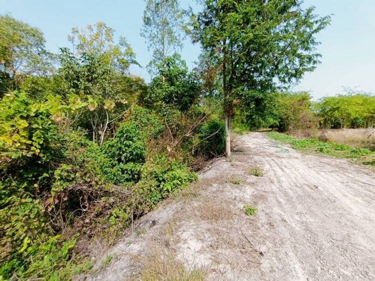 ขายที่ดิน 8-0-38 ไร่ ติดคลองสาธารณะประโยชน์  อ.เมือง จ.อุทัยธานี  ZK245, ภาพที่ 4