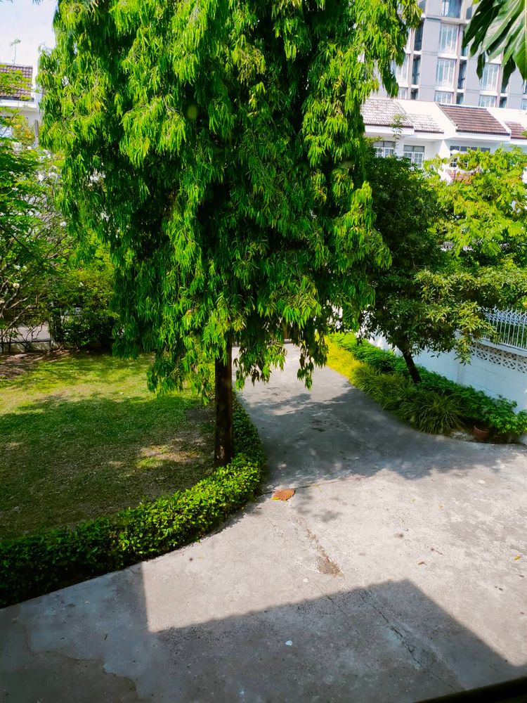 RH061ให้เช่าบ้านเดี่ยว2ชั้น ลาดพร้าว15 ใกล้ MRTลาดพร้าวเพียง600 เมตร, ภาพที่ 4