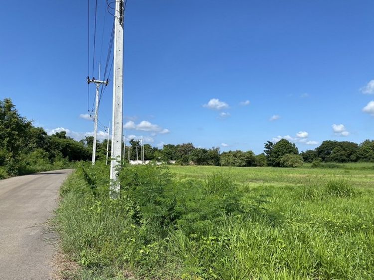 ขายด่วน ที่ดินสวย ติดถนนลาดยาง ต.บ้านใหม่หนองไทร อ.อรัญประเทศ จ.สระแก้ว, ภาพที่ 4