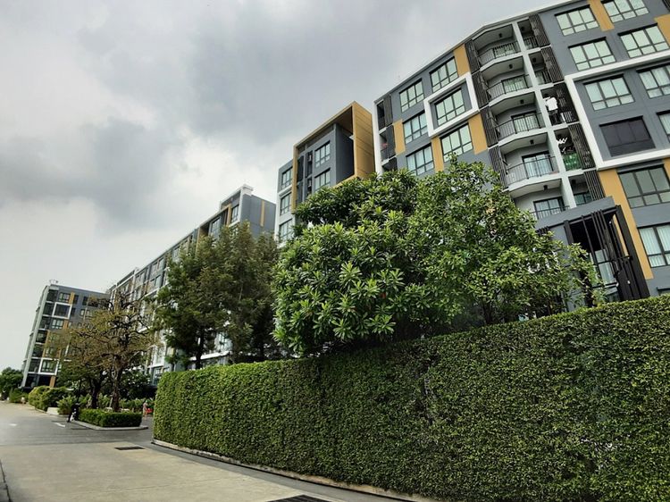 (HL)C78594 - ขายราคาประเมิน plum condo bangyai station ใกล้ MRT 46.23, ภาพที่ 4