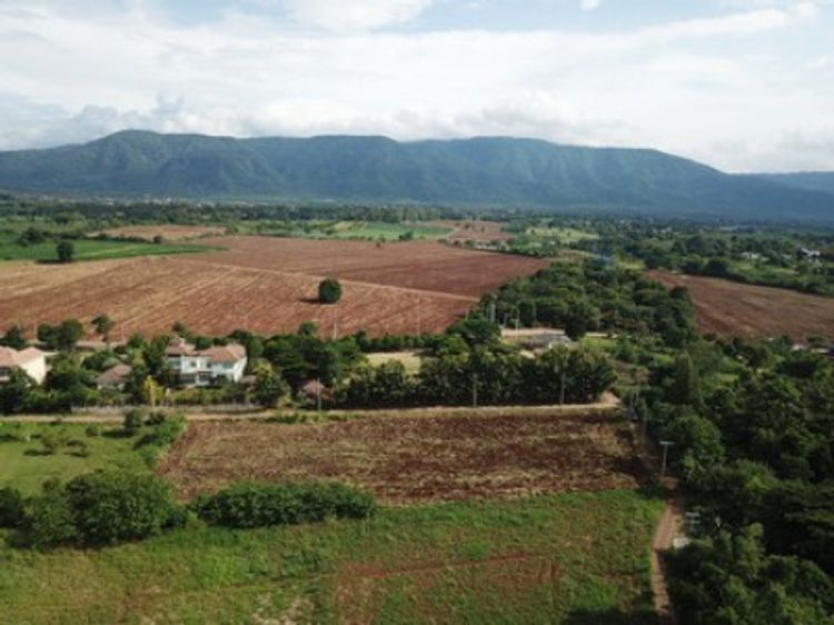 ขาย ที่ดิน เขาใหญ่ ต.หมูสี อ.ปากช่อง 3 ไร่ 1 งาน 63 ตร.วา, ภาพที่ 4